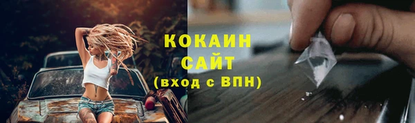 индика Баксан