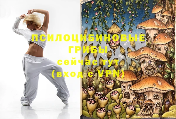 индика Баксан