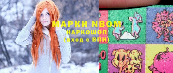 индика Баксан