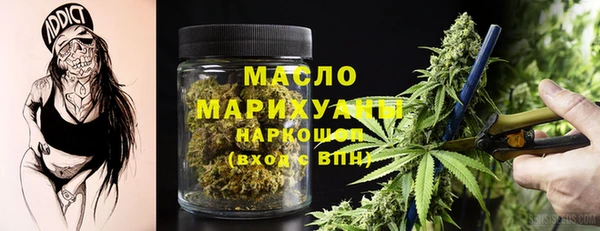 индика Баксан