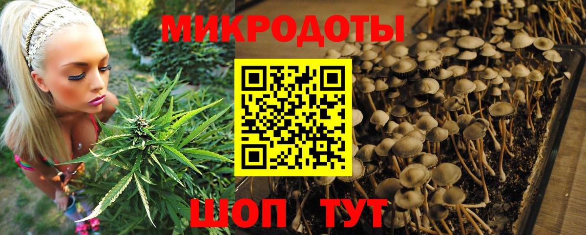 Кунгур  Галлюциногенные грибы ЛСД  Вход с VPN  Псилоцибиновые грибы прущие грибы 