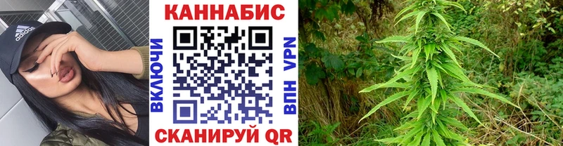 Шишки марихуана VHQ Кунгур