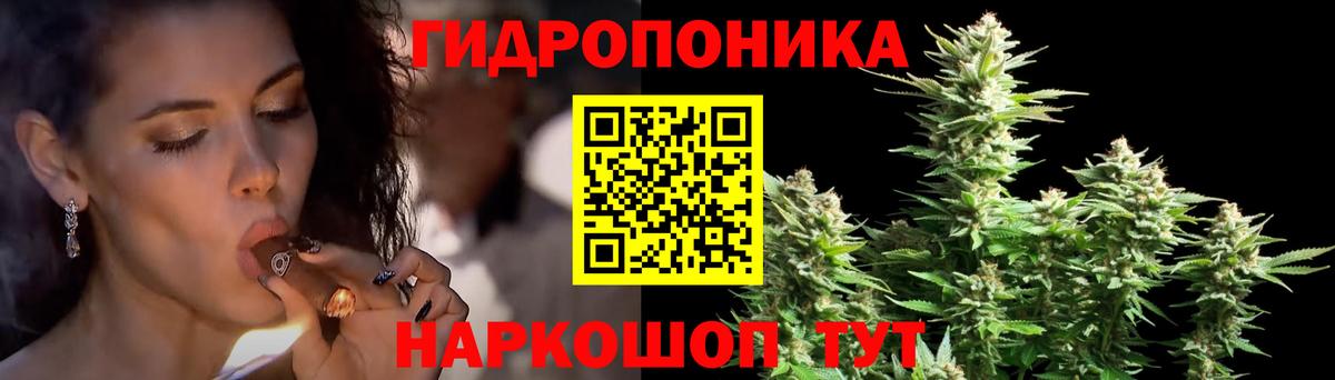 Конопля марихуана Кунгур